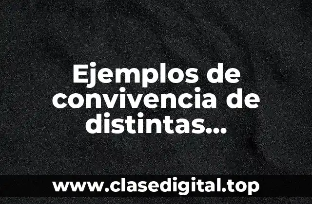 Ejemplos de convivencia de distintas comunidades y culturas y Significado