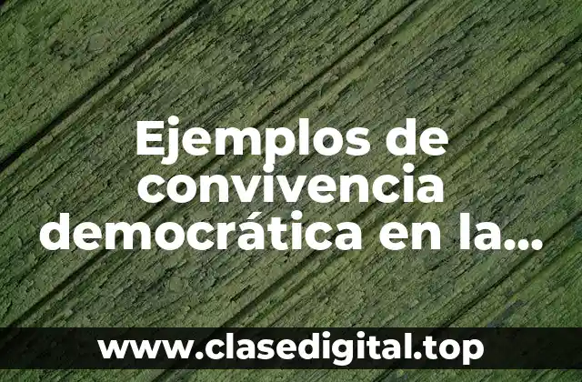 Ejemplos de convivencia democrática en la familia