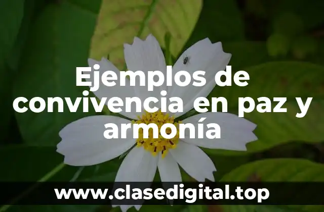 Ejemplos de convivencia en paz y armonía