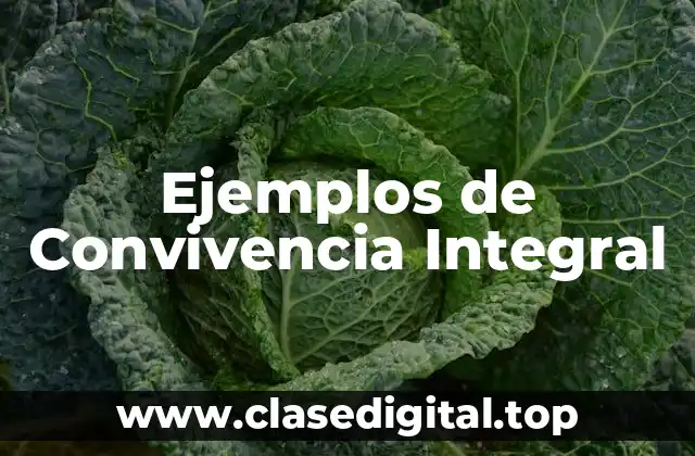 Ejemplos de Convivencia Integral