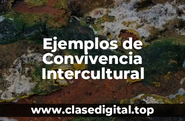 Ejemplos de Convivencia Intercultural