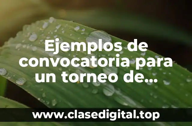 Ejemplos de convocatoria para un torneo de handball
