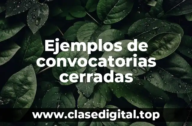Ejemplos de convocatorias cerradas