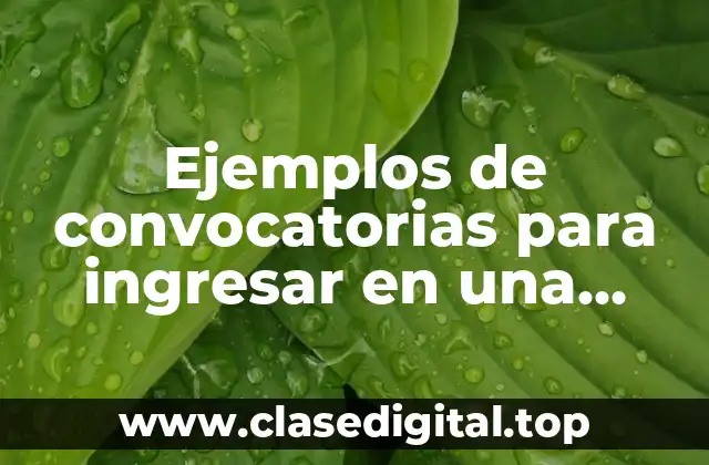 Ejemplos de convocatorias para ingresar en una institución