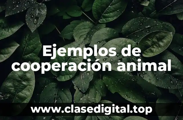 Ejemplos de cooperación animal