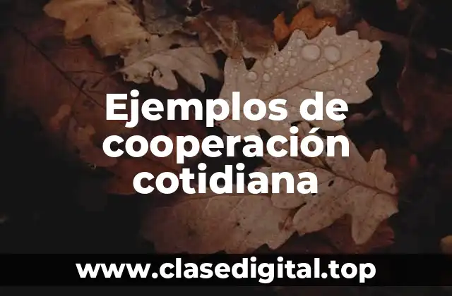 Ejemplos de cooperación cotidiana