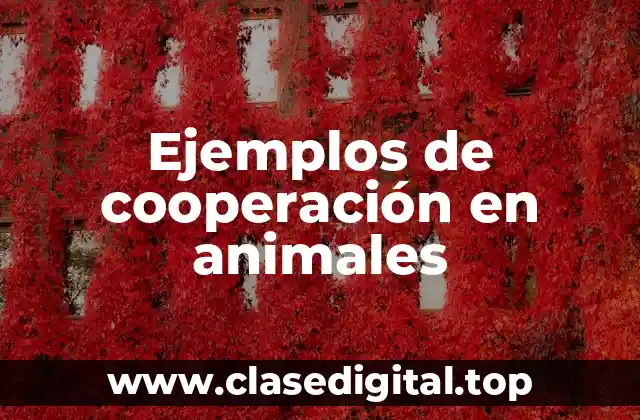 Ejemplos de cooperación en animales