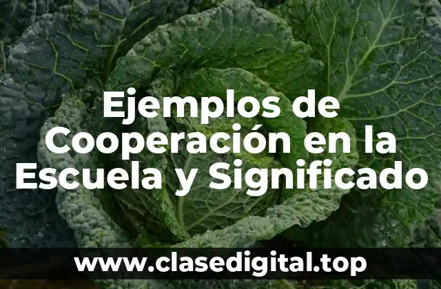 Ejemplos de Cooperación en la Escuela y Significado