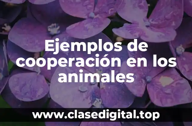 Ejemplos de cooperación en los animales