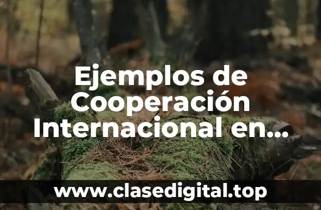 Ejemplos de Cooperación Internacional en Colombia