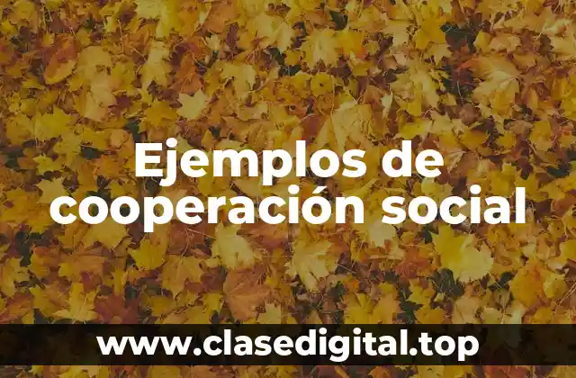 Ejemplos de cooperación social