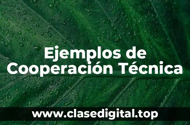 Ejemplos de Cooperación Técnica