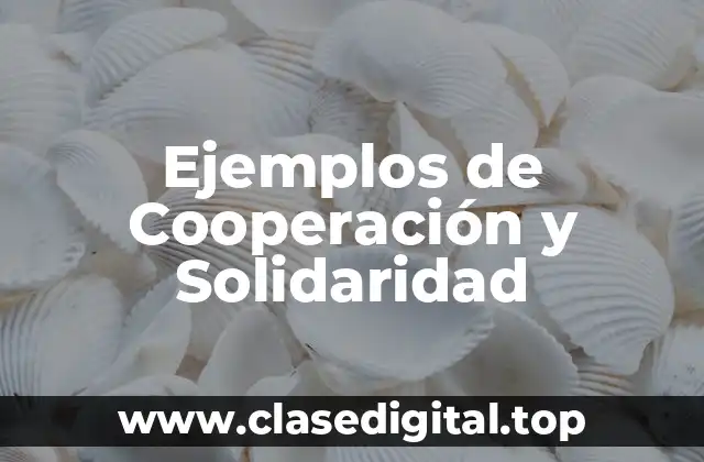 Ejemplos de Cooperación y Solidaridad