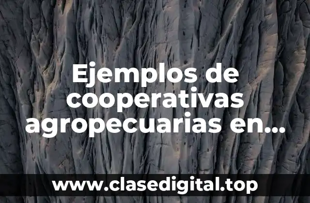 Ejemplos de cooperativas agropecuarias en Argentina