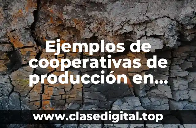 Ejemplos de cooperativas de producción en México