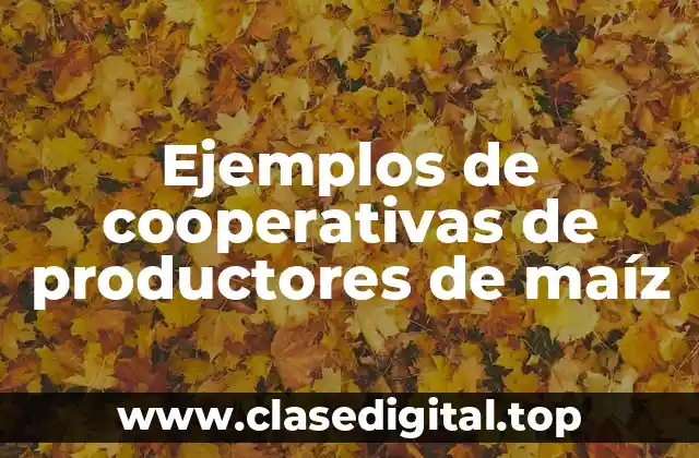 Ejemplos de cooperativas de productores de maíz