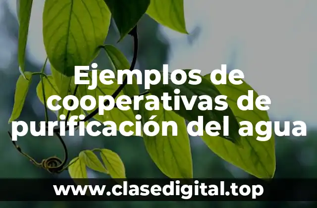 Ejemplos de cooperativas de purificación del agua