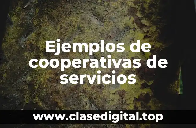 Ejemplos de cooperativas de servicios