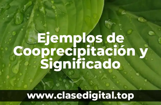 Ejemplos de Cooprecipitación y Significado
