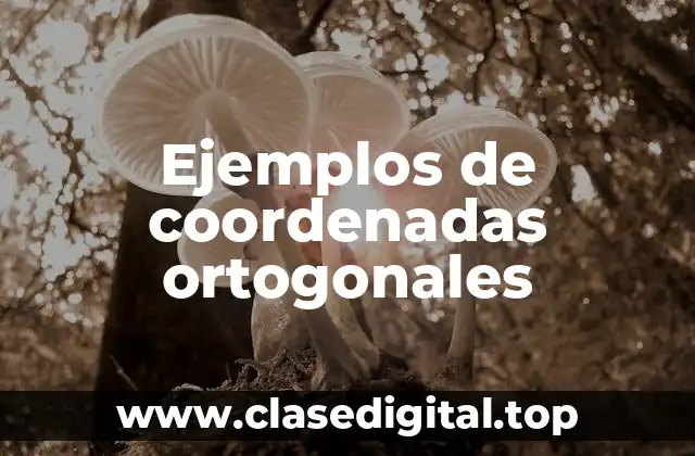 Ejemplos de coordenadas ortogonales