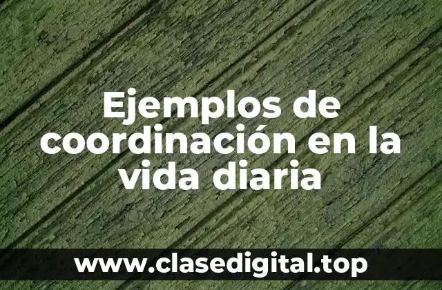 Ejemplos de coordinación en la vida diaria