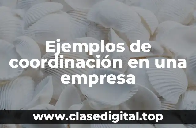 Ejemplos de coordinación en una empresa