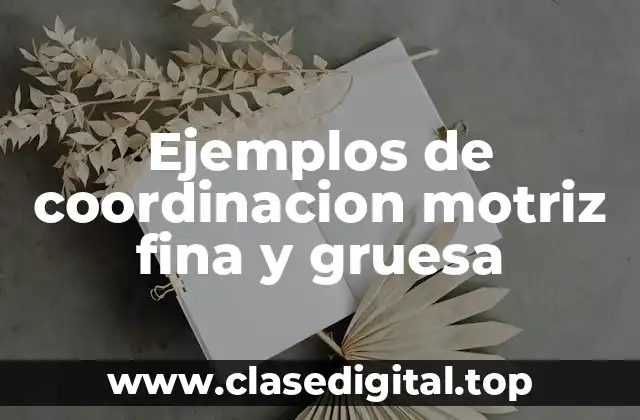 Ejemplos de coordinacion motriz fina y gruesa