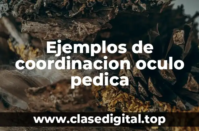 Ejemplos de coordinacion oculo pedica