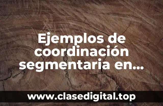 Ejemplos de coordinación segmentaria en educación física