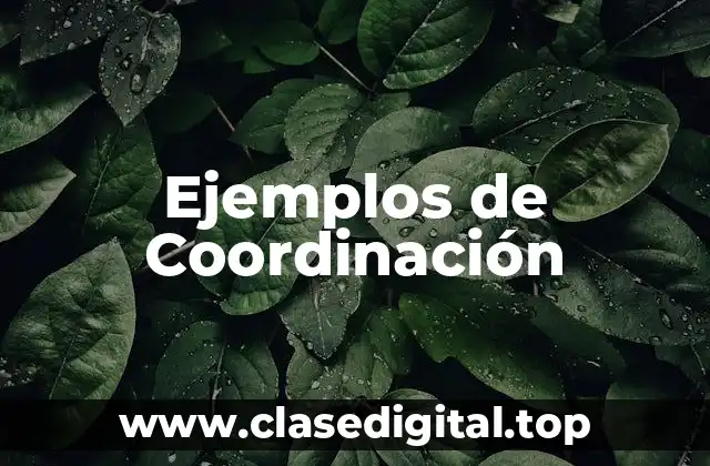 Ejemplos de Coordinación