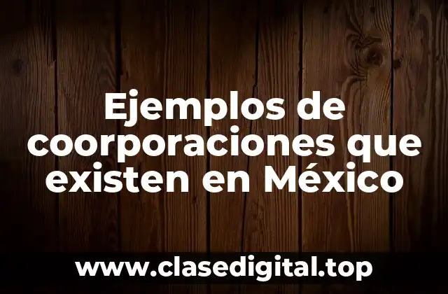 Ejemplos de corporaciones que existen en México
