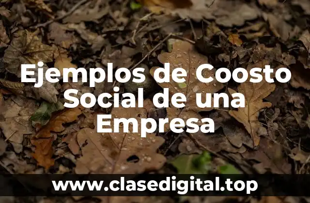 Ejemplos de Coosto Social de una Empresa