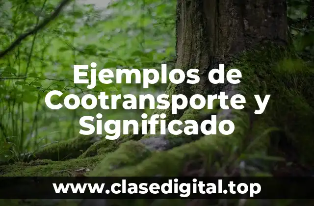 Ejemplos de Cootransporte y Significado