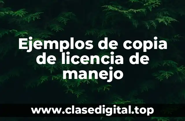Ejemplos de copia de licencia de manejo