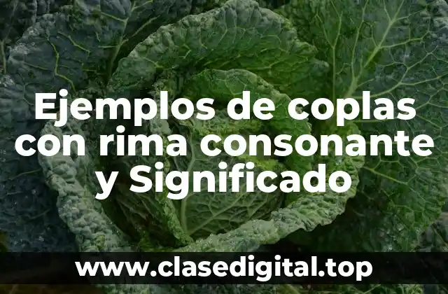 Ejemplos de coplas con rima consonante y Significado