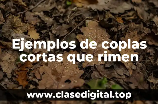Ejemplos de coplas cortas que rimen