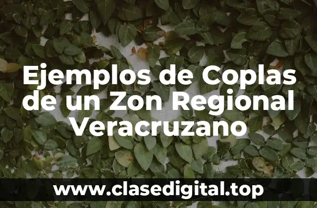 Ejemplos de Coplas de un Zon Regional Veracruzano