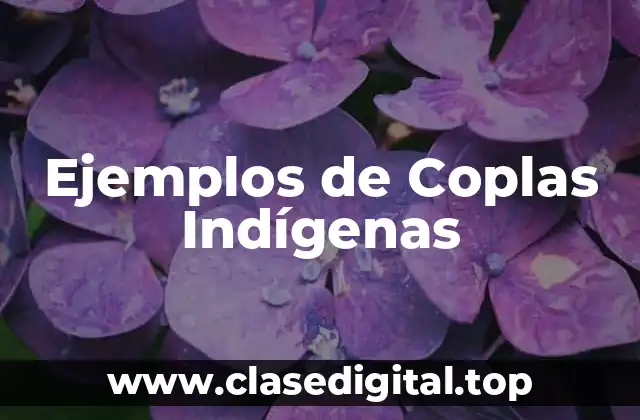 Ejemplos de Coplas Indígenas