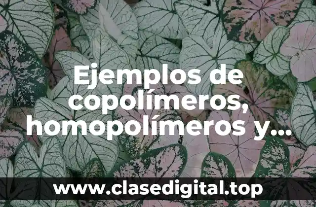 Ejemplos de copolímeros, homopolímeros y heteropolímeros