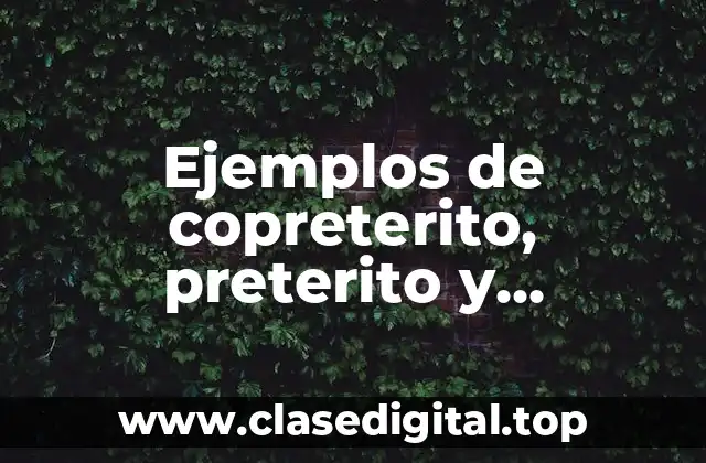 Ejemplos de copreterito, preterito y pospretterito