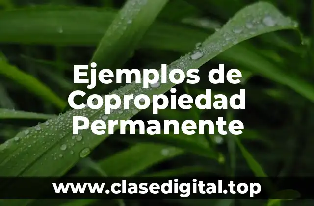 Ejemplos de Copropiedad Permanente