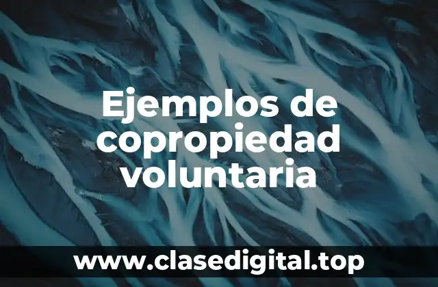 Ejemplos de copropiedad voluntaria