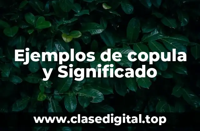Ejemplos de copula y Significado