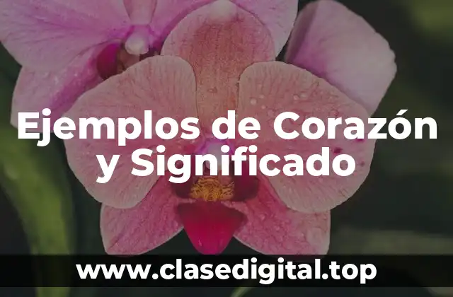 Ejemplos de Corazón y Significado
