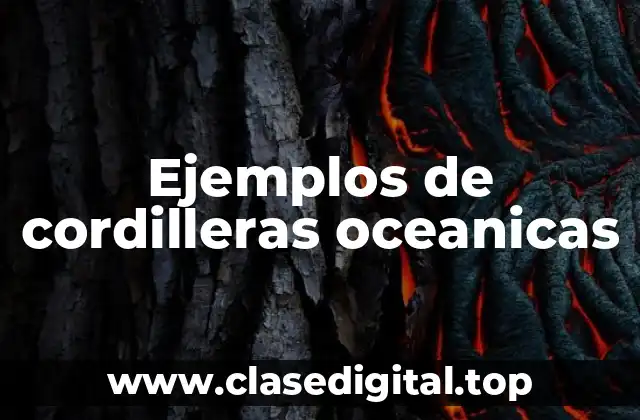 Ejemplos de cordilleras oceanicas