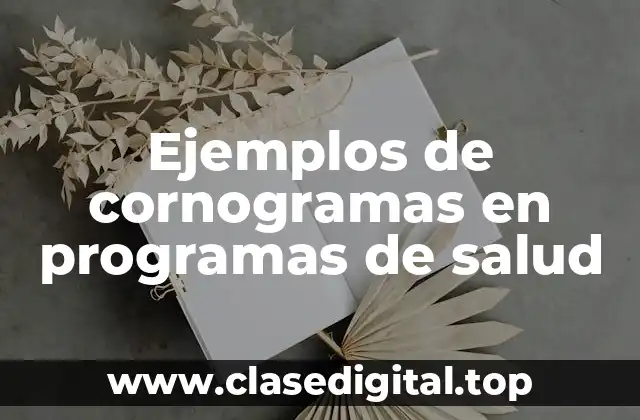 Ejemplos de cornogramas en programas de salud