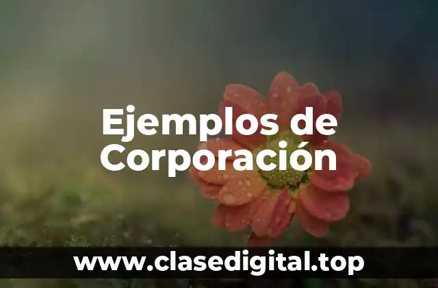 Ejemplos de Corporación