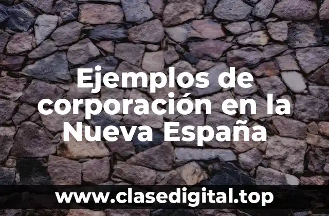 Ejemplos de corporación en la Nueva España