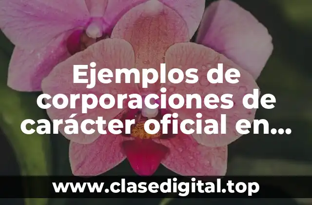 Ejemplos de corporaciones de carácter oficial en México