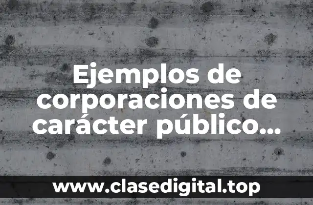 Ejemplos de corporaciones de carácter público reconocidas por la ley y Significado